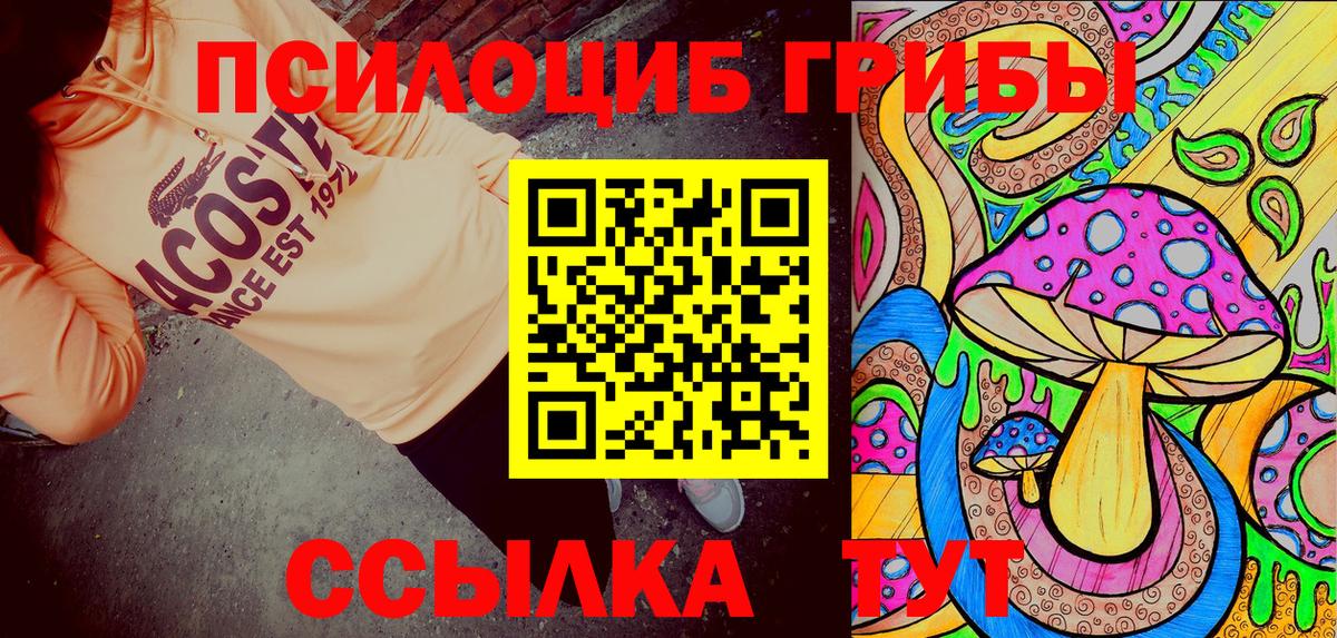 Псилоцибиновые грибы мицелий Киржач