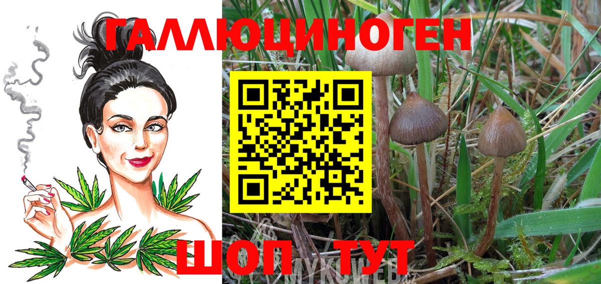 Киржач  Галлюциногенные грибы GOLDEN TEACHER  Вход с VPN 
