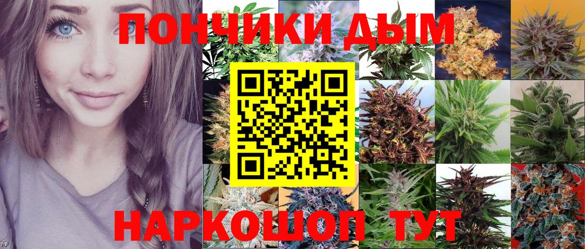 Бошки Шишки конопля Киржач